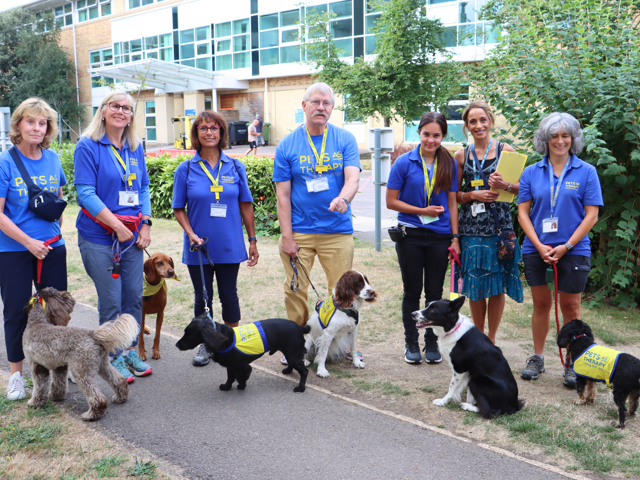 Out PAT dogs popping in to our Public Board meeting